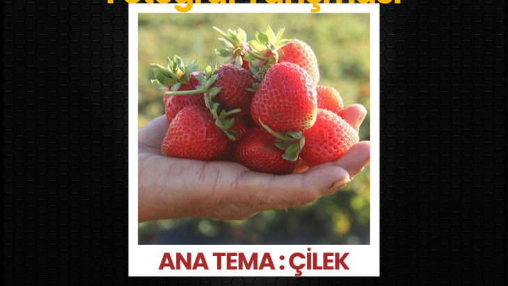 FOTOĞRAF YARIŞMASI