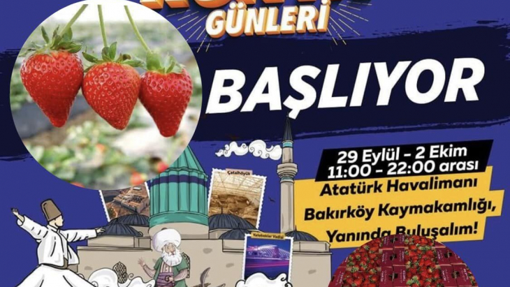 İstanbul Konya Günleri
